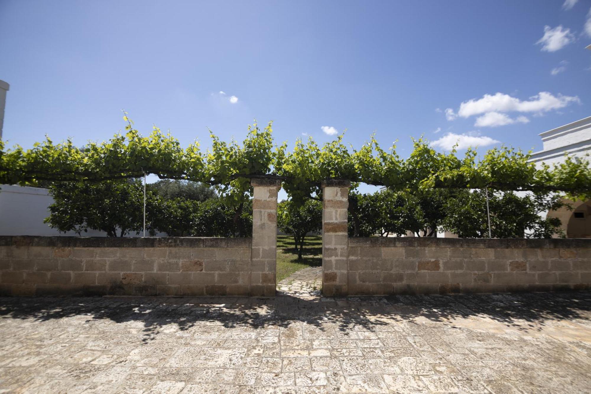 Masseria Palmo Francavilla Fontana Exterior foto